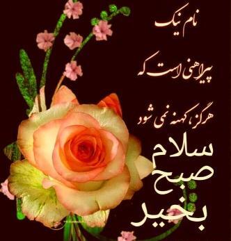 عکس سلام صبح ادینتون بخیر