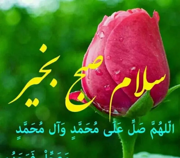 عکس سلام صبح ادینتون بخیر