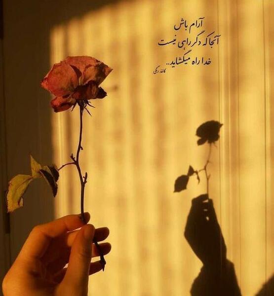 عکس استوری شب بخیر انگیزشی