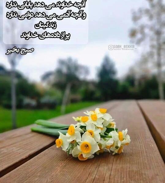 عکس استوری شب بخیر انگیزشی