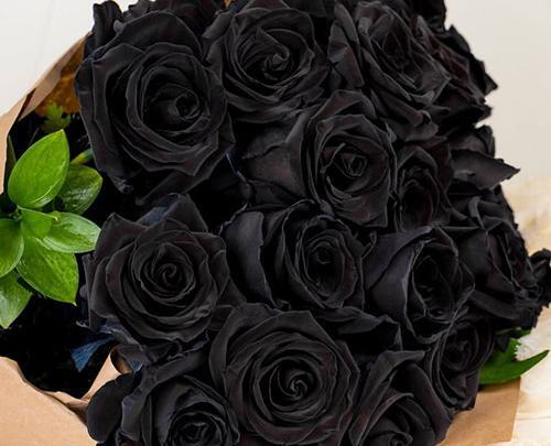 غمگین عکس گل رز مشکی با شمع
