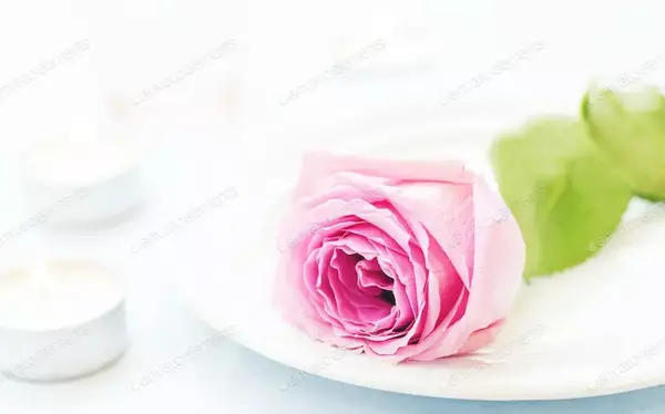 غمگین عکس گل رز مشکی با شمع