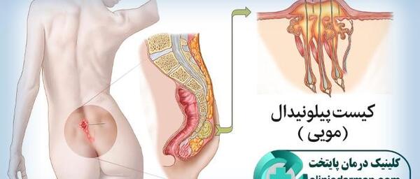 عکس اعضای بدن زن با اسم