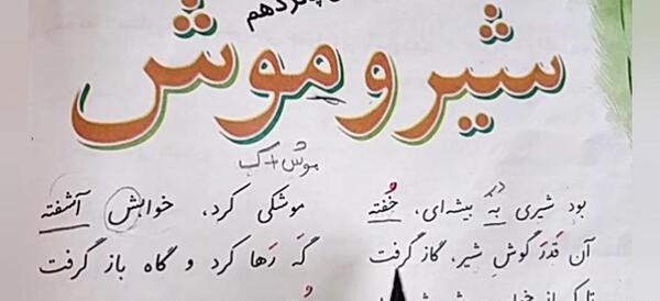 عکس درس شیر و موش