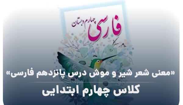 عکس درس شیر و موش