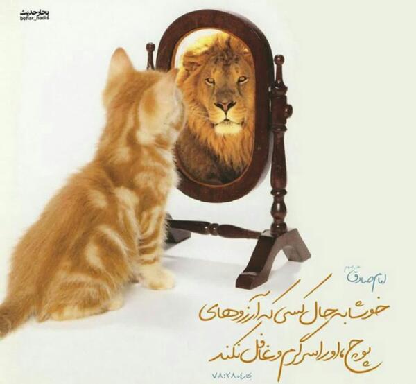 عکس نوشته شیر کاکائو