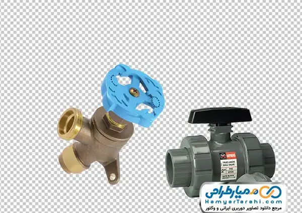 عکس شیر نقاشی دیجیتال