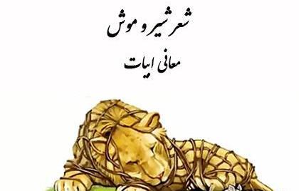 عکس شیر و موش آسان