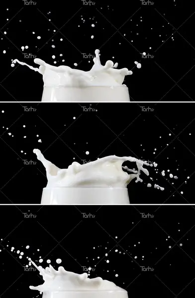 عکس شیر و لیوان