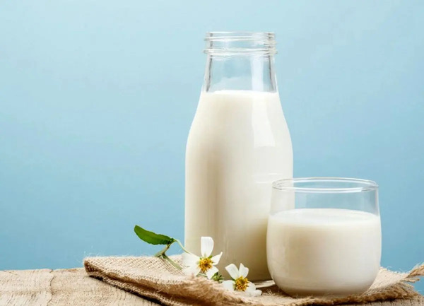 عکس شیر و لیوان