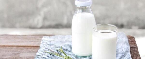 عکس شیر و لیوان