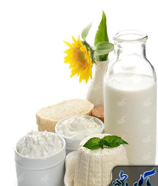 عکس شیر و لبنیات