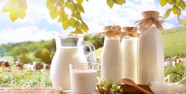 عکس شیر و لبنیات