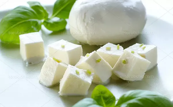 عکس شیر و لبنیات