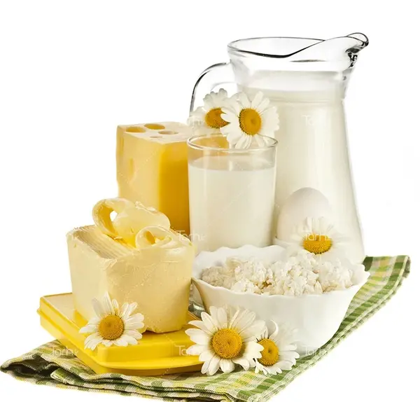 عکس شیر و لبنیات