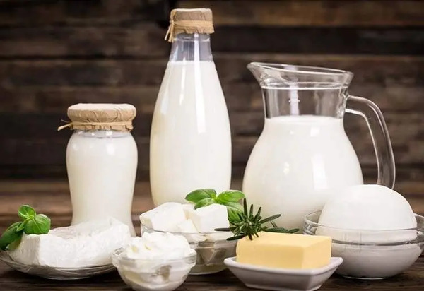 عکس از شیر و لبنیات