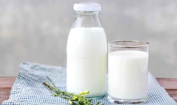 عکس از شیر و لبنیات