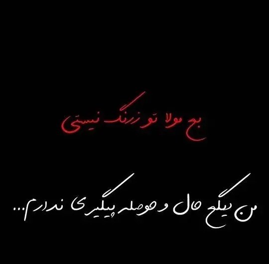 عکس شیر با متن لاتی