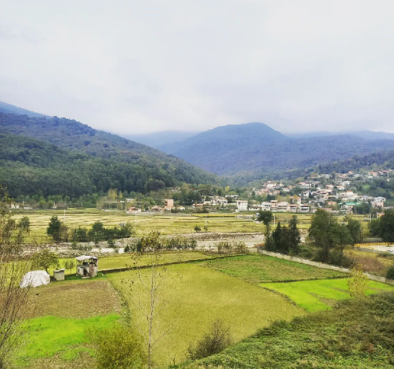 عکس شهر شیرگاه