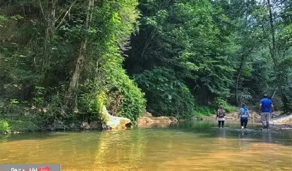 عکس شهر شیرگاه