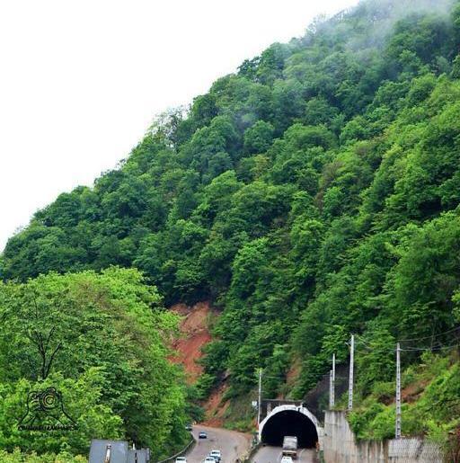 عکس شهر شیرگاه