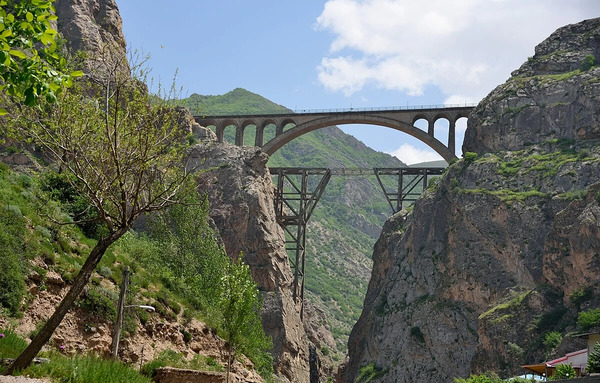 عکس شهر شیرگاه