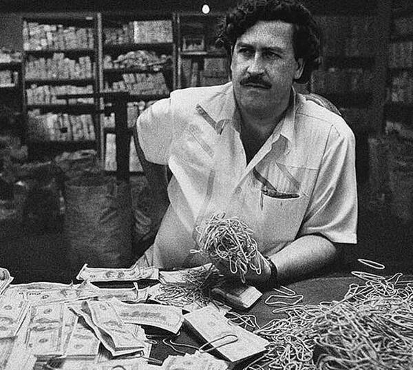 عکس شیر کلمبیایی