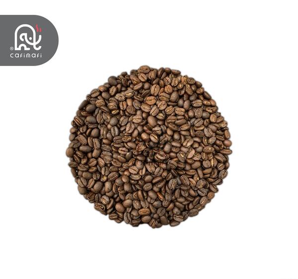 عکس شیر کلمبیایی