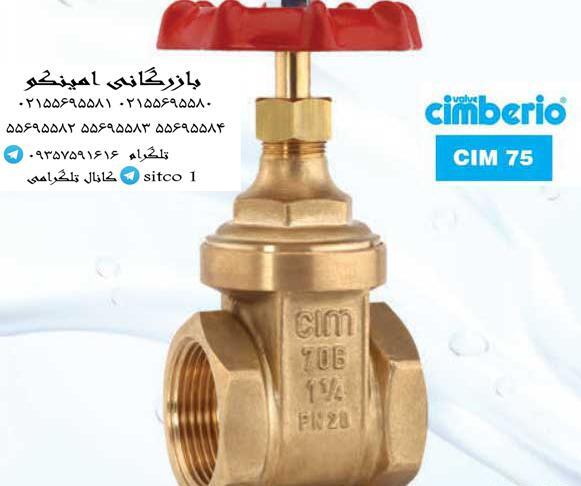 عکس شیر فلکه سیم ایتالیا