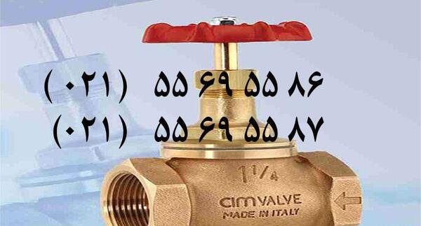 عکس شیر فلکه سیم ایتالیا