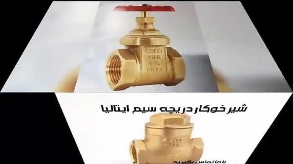 عکس شیر فلکه سیم ایتالیا