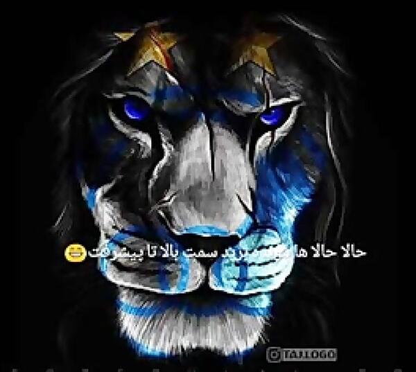 عکس غرش شیر استقلال