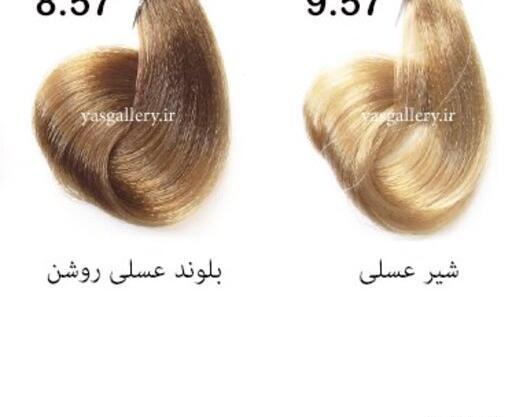 عکس رنگ موی شیر عسلی