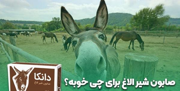 عکس صابون شیر گاو