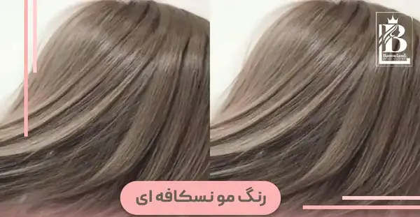 عکس رنگ موی شیر شکلاتی مارال