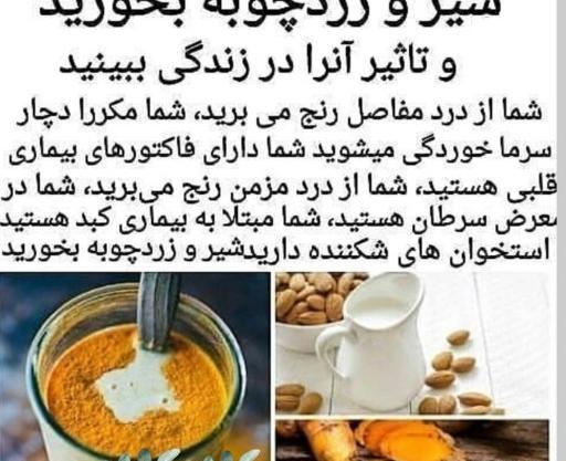 عکس شیر زردچوبه