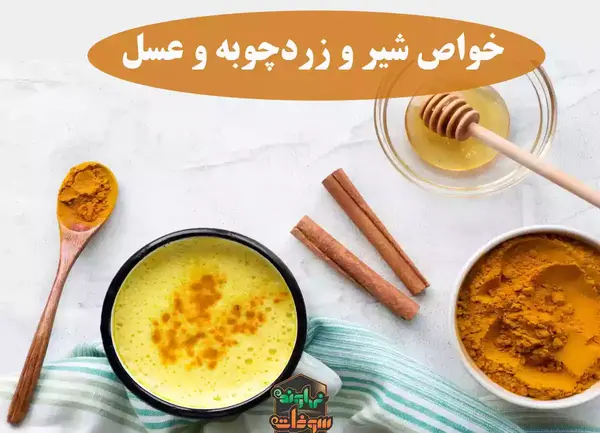 عکس شیر زردچوبه