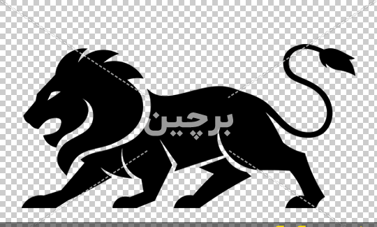 عکس شیر رنگی رنگی