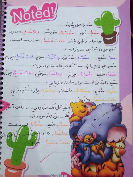عکس شعر شیر خدا ششم