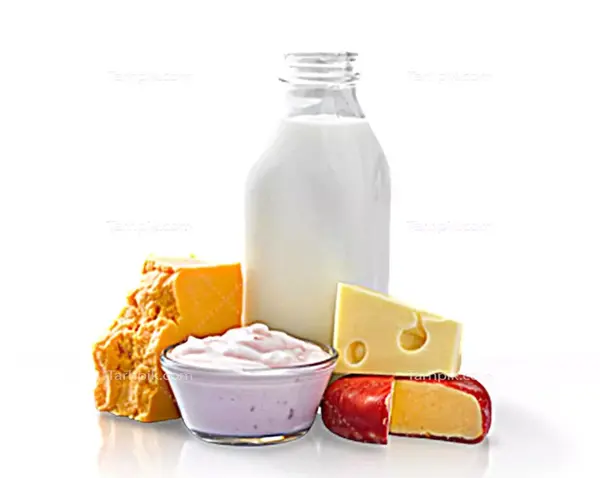 عکس شیر بابا خوراکی