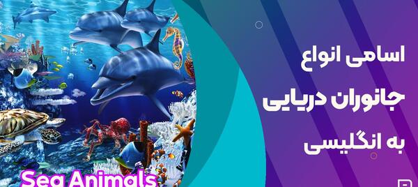 عکس حیوان شیر آبی