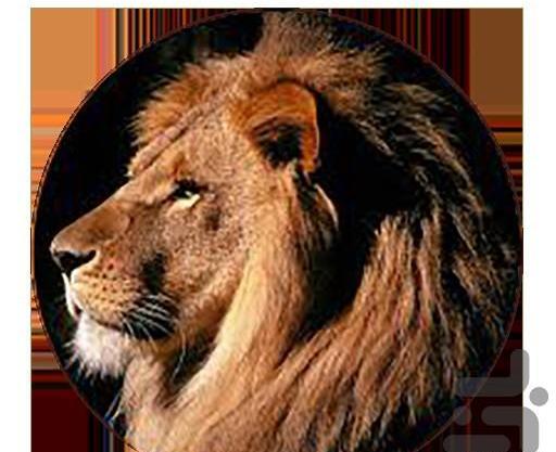 عکس حیوان شیر کارتونی