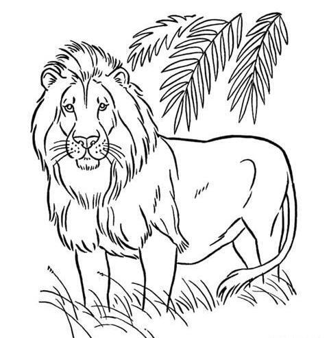 عکس شیر کارتونی برای نقاشی