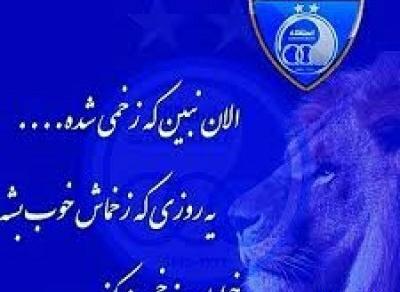 شیر استقلالی عکس پروفایل استقلال