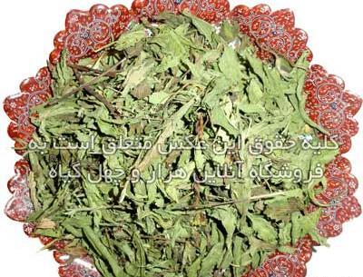 عکس شیرین بیان خشک شده