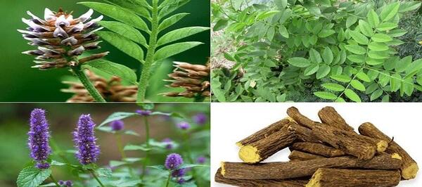 عکس شیرین بیان خشک شده