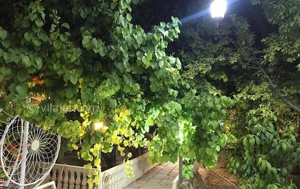 عکس شب باغ