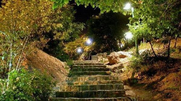 عکس شب باغ