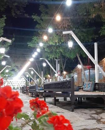 عکس شب باغ