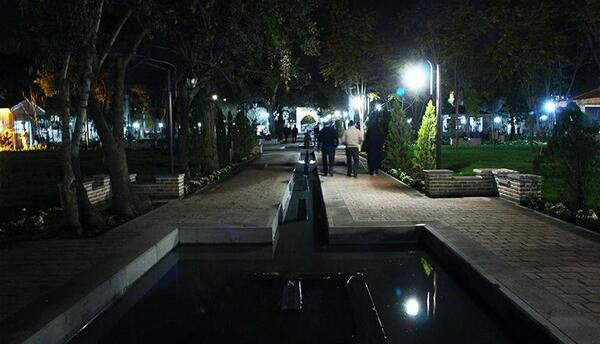 عکس شب باغ